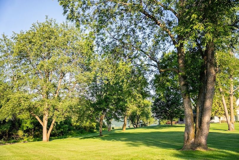 Fillmore 48.25 New Updates-46