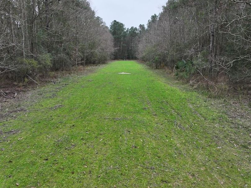 dji_fly_20260123_112228_0910_1769444789200_photo