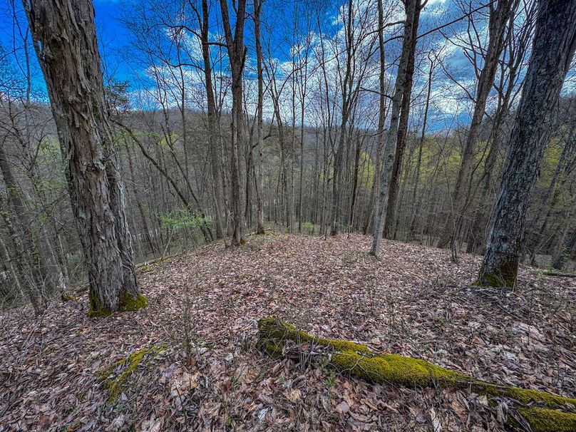 Wirt, WV 62.5 AC Full-15