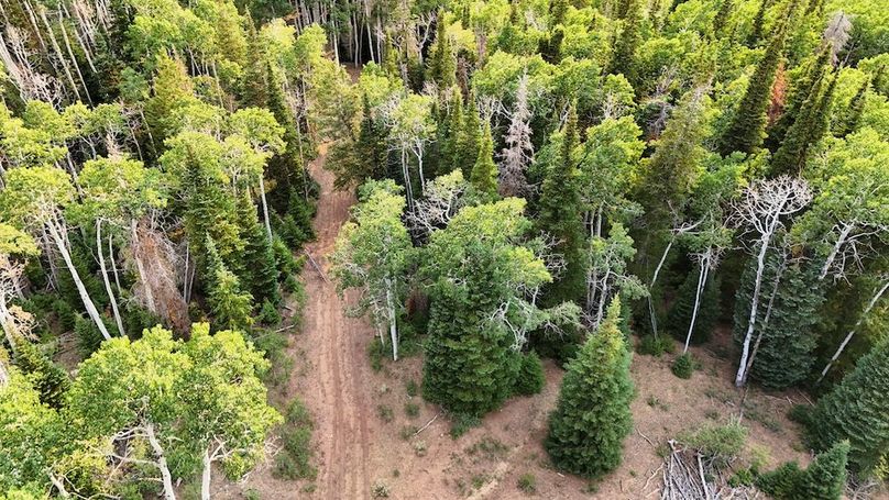 DJI_20250726191401_0322_D