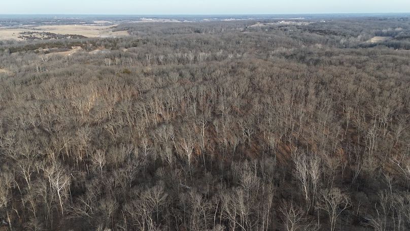 dji_fly_20260208_083558_0050_1770562336262_photo