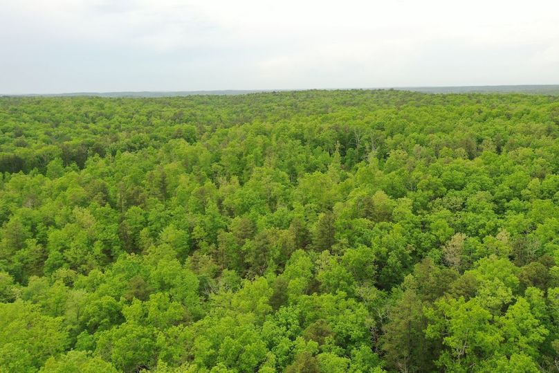 DJI_0794