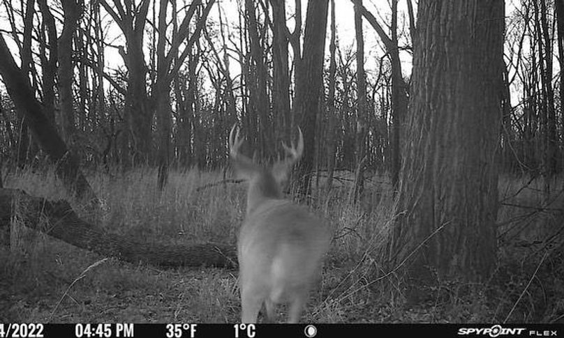 9F48729F-73DE-49FB-ADDA-22E84F71D833