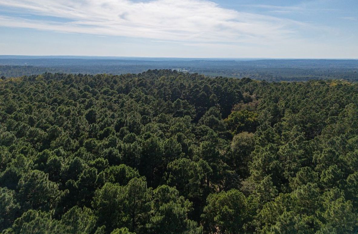 3DJI_20250927165858_0055_D-HDR