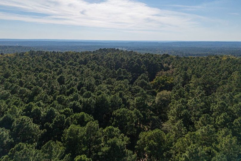 3DJI_20250927165858_0055_D-HDR