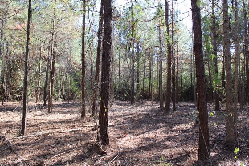 335F1A24-4BF3-42EA-B88C-CAF31931074A_1_105_c