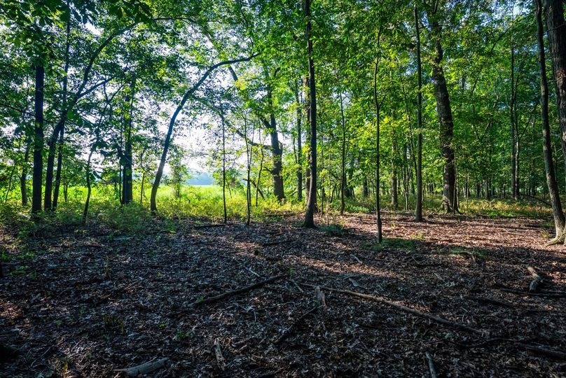 Copy of DSC06174 Large