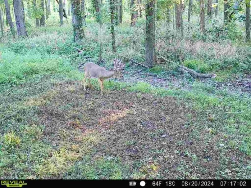 860322064793737-90-4-08202024071702-W1000267