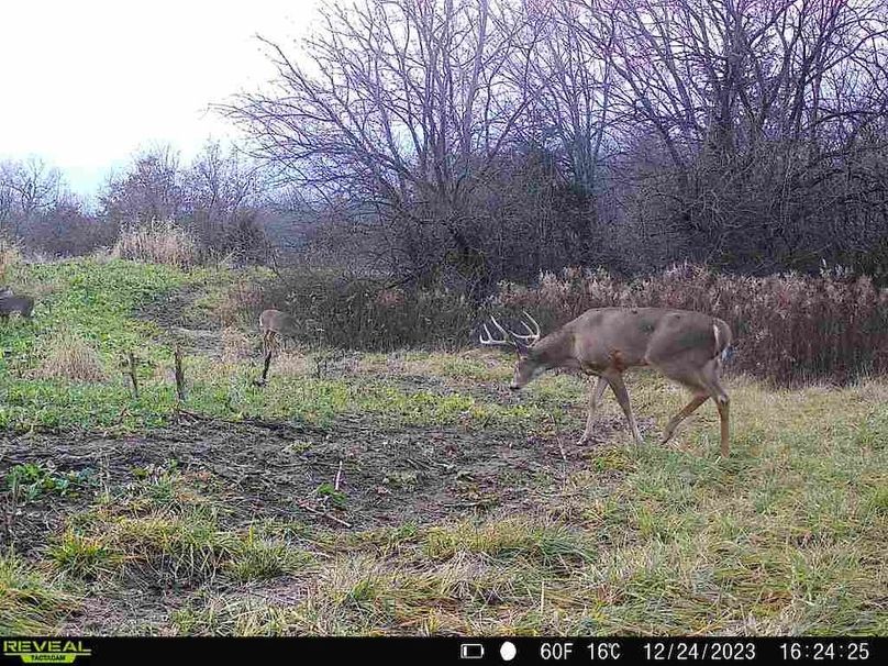 860322065287523-1-2-12242023162424-V-W1009300