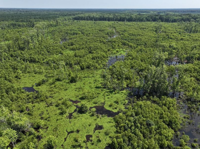 DJI_20250627103336_0122_D