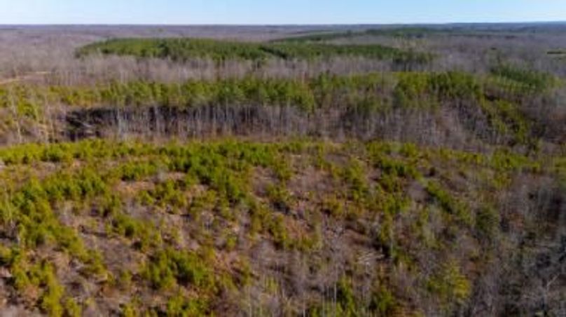 MCKINNON TRACT 19-21