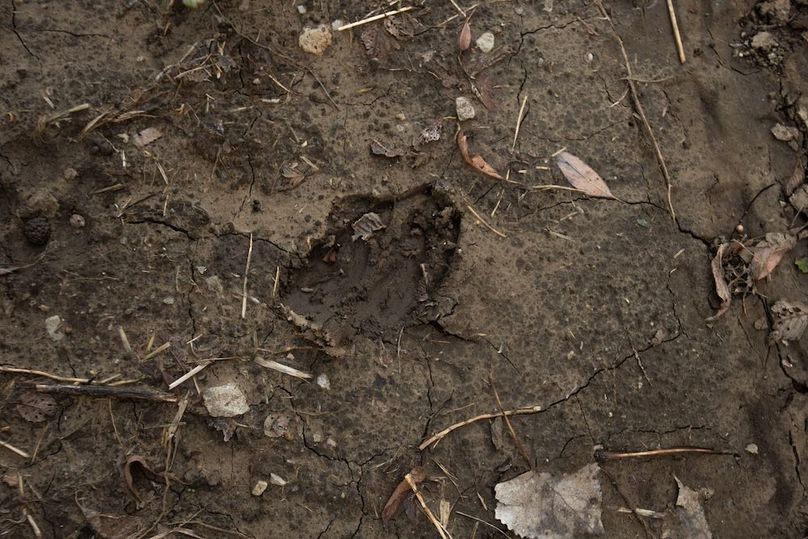 Copy of MILLS CO IA 51.37 - TRACT 2_24