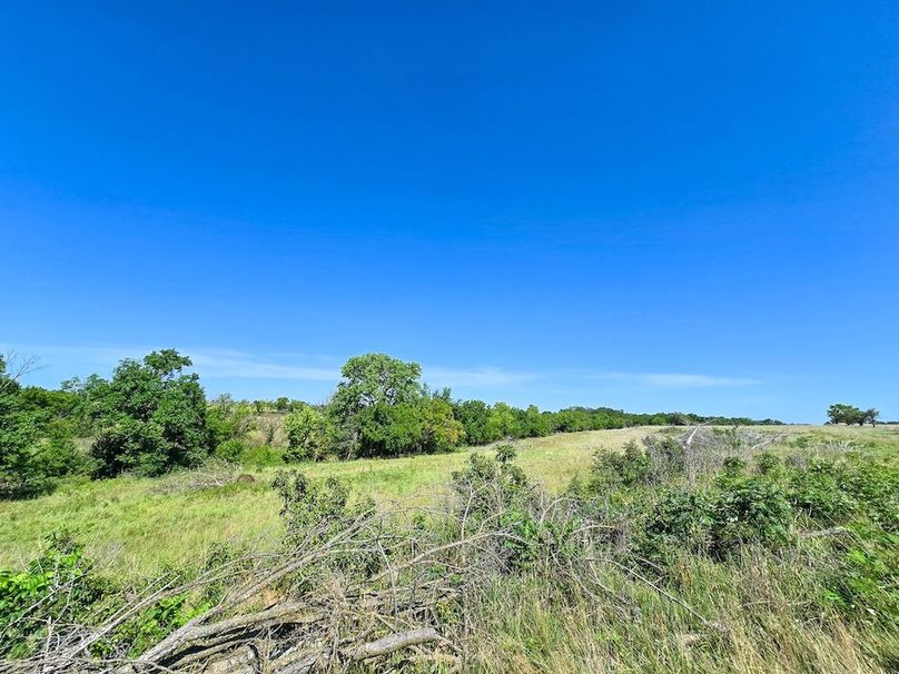 Copy of 20250729_111236