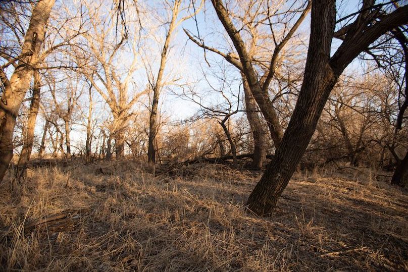 ATCHISON CO MO 56_21