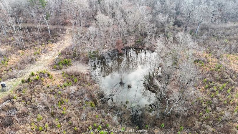 Holmes County - 108 - Rodriguez-43