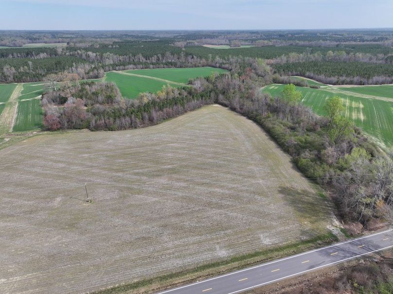 DJI_20260303063747_0552_D