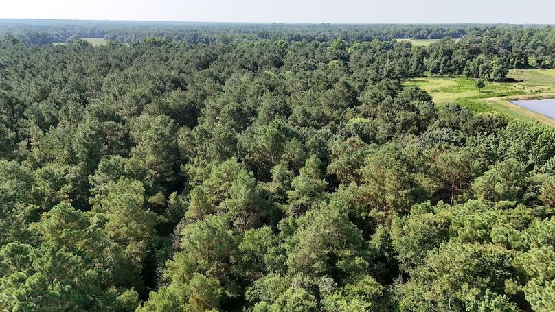 DJI_20250627094322_0087_D