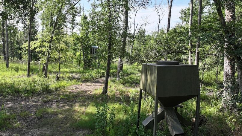 Copy of 26-DJI_20250710103507_0014_D