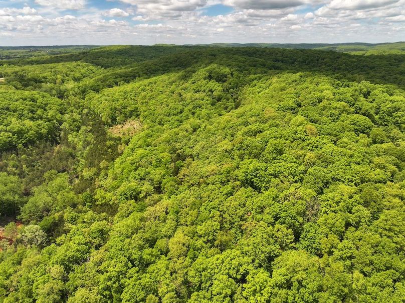 DJI_20250506124700_0229_D