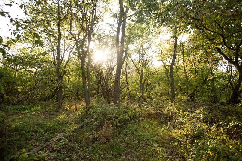 Copy of POTTAWATTAMIE CO IA 311 TRACT 3_21