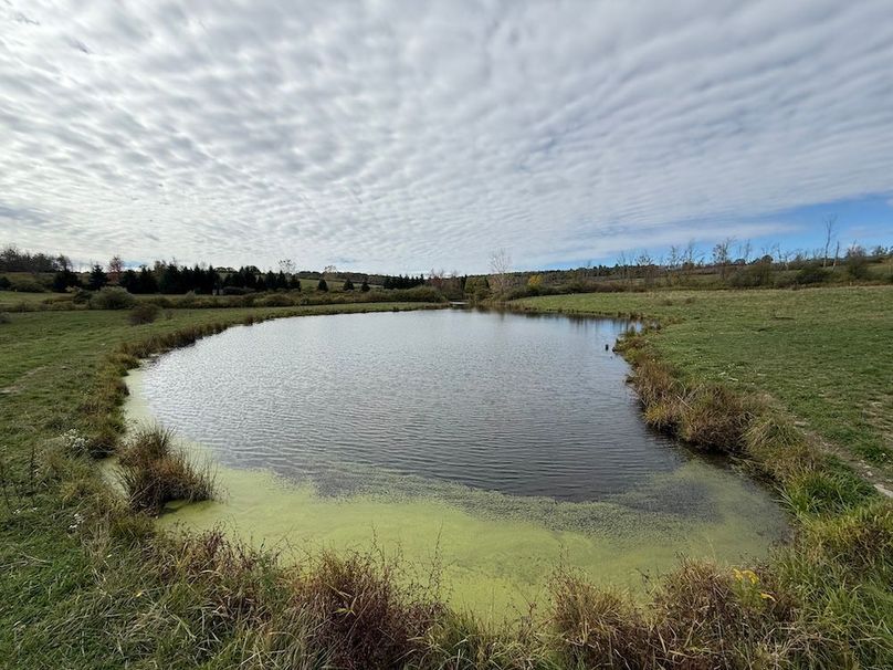 Chemung_184.12_Sterling 38a