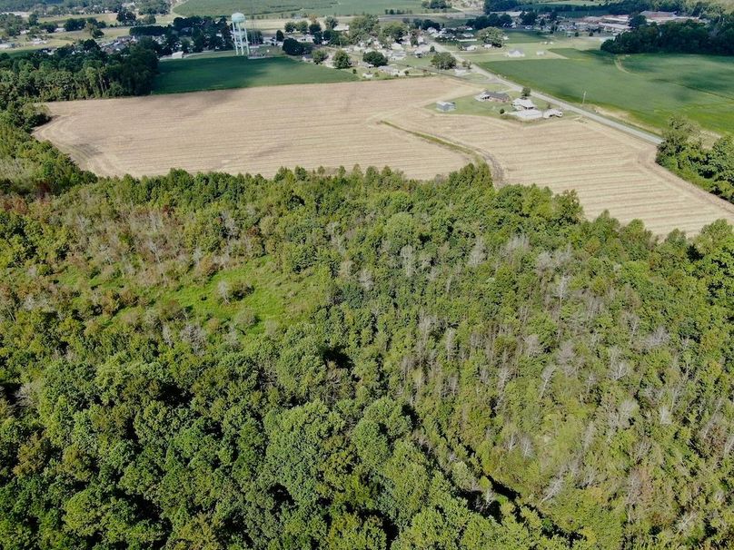 05CCEF9A-0058-4CF7-BFD7-BF4A7E906570