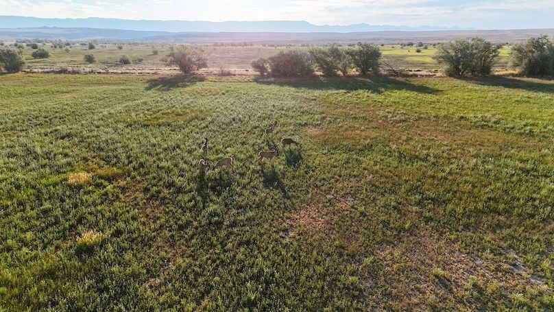 DJI_20240810073922_0218_D