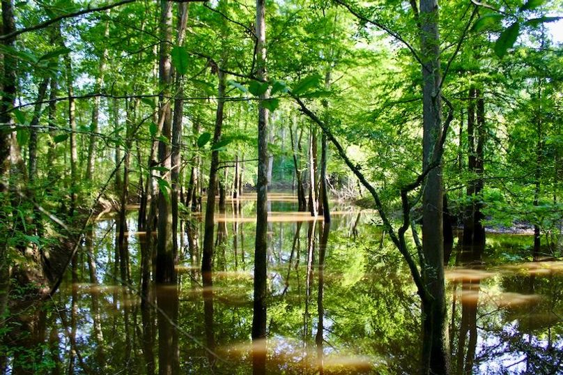 69ABA504-3994-494A-89BC-65C7BE3C1B6B_1_201_a