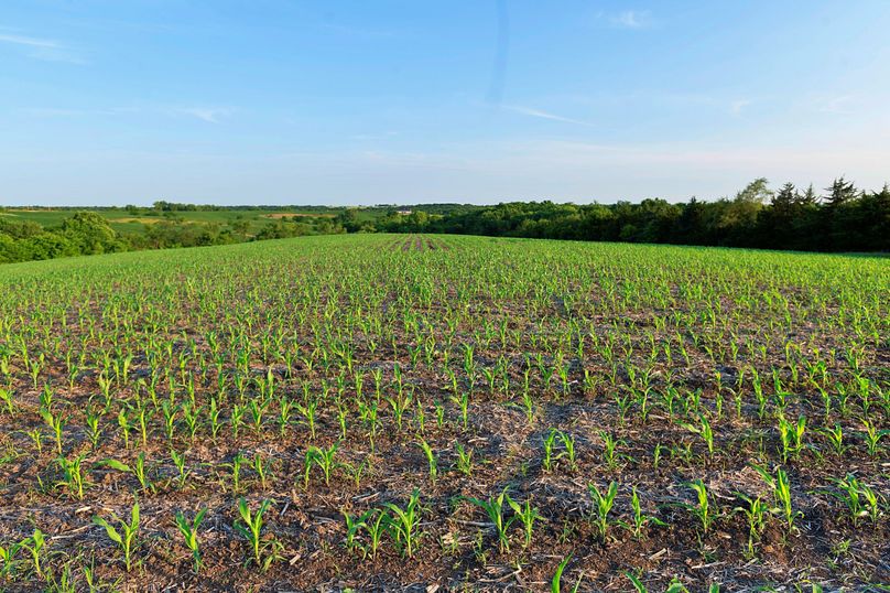 Harrison MO 480 Pro Photo_177 (19)