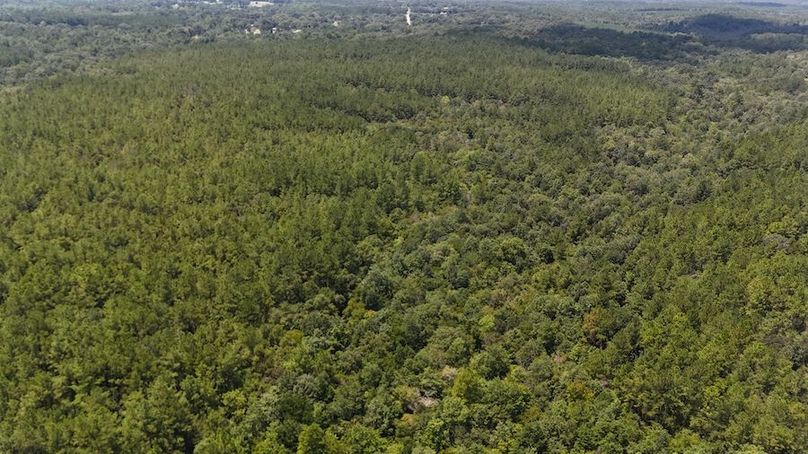 DJI_20240812131424_0015_D