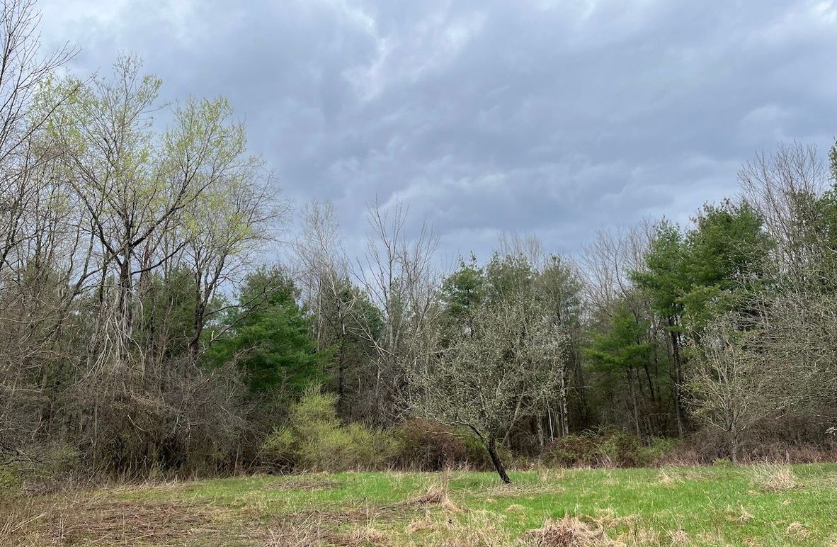 Schuyler_65.57_Grohoski Photo 2