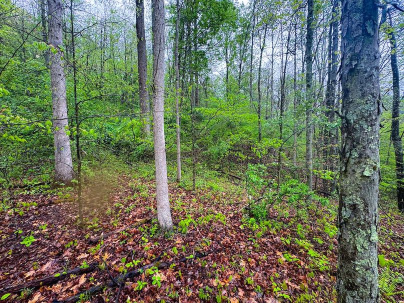 Lewis, WV 34.74 AC Graham-14