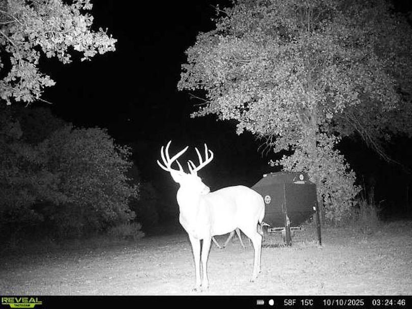 864049057007223-100-4-10102025032446-W1004181