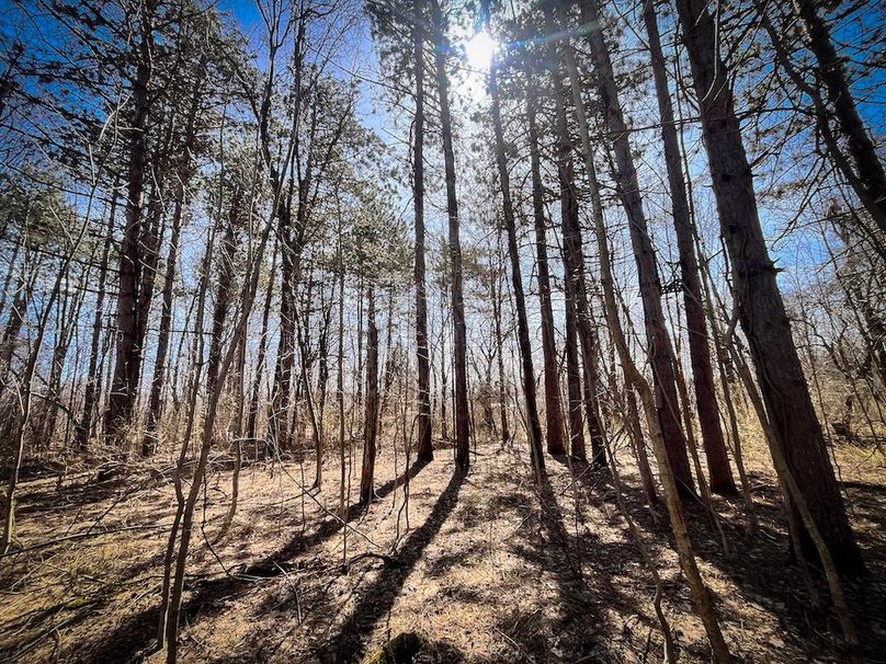 Oswego_13.95_Moore_Bush_Photos_17