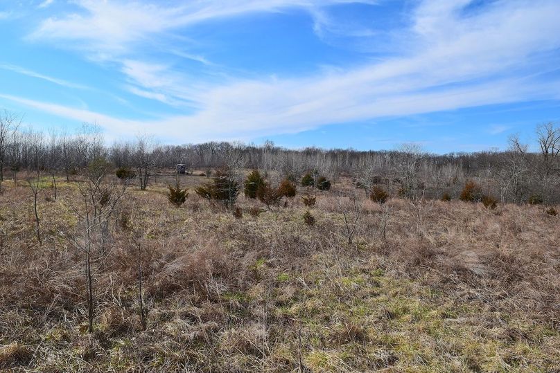 DSC_0312_inPixio (2)