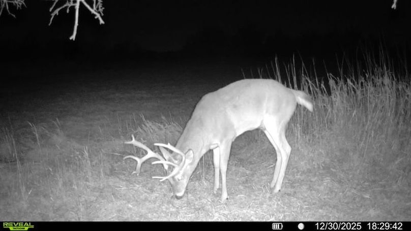 016578006043092-60-3-12302025182942-SYFW06396