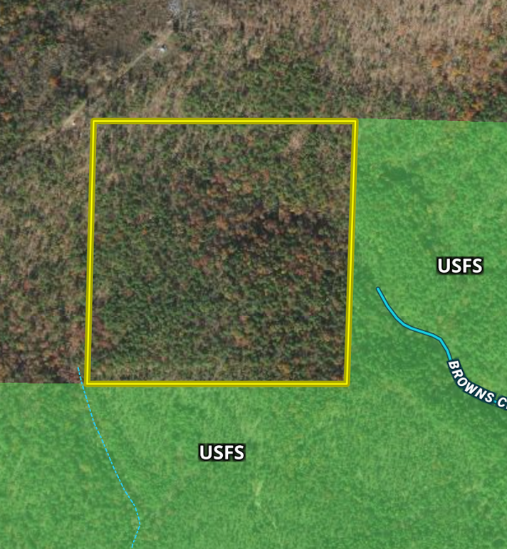 Screen Shot 2024-02-21 at 11.06.04 AM