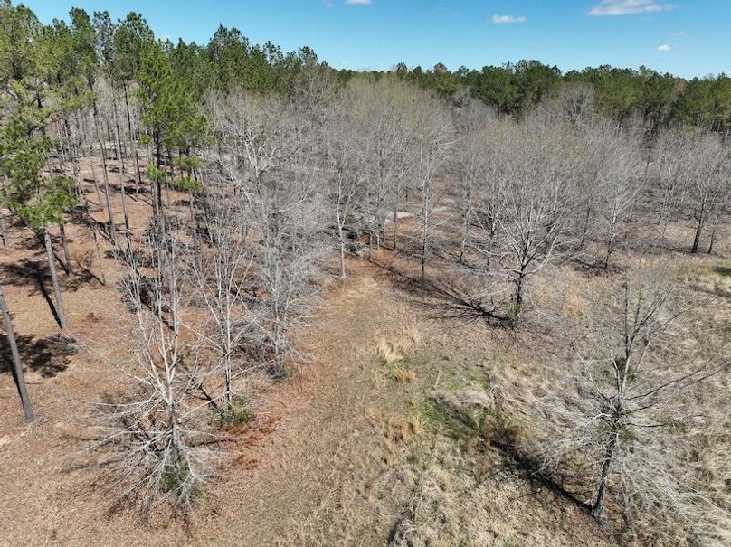 dji_fly_20240307_121232_158_1709831720967_photo