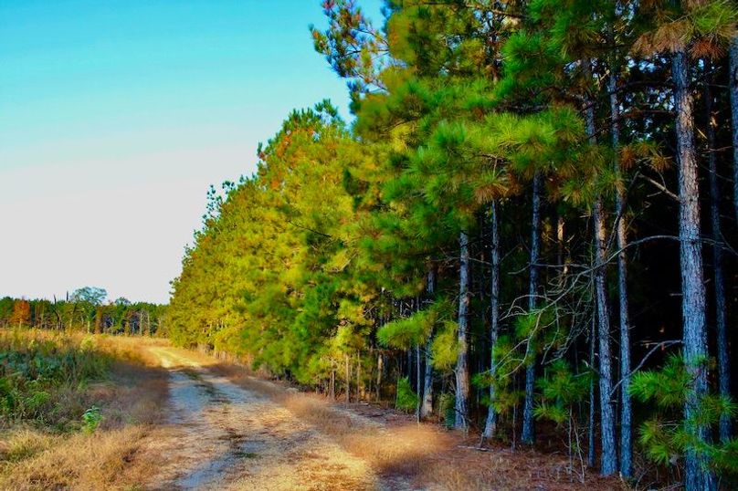 93330BB5-D13F-4863-A071-B1002C2FB40D_1_201_a