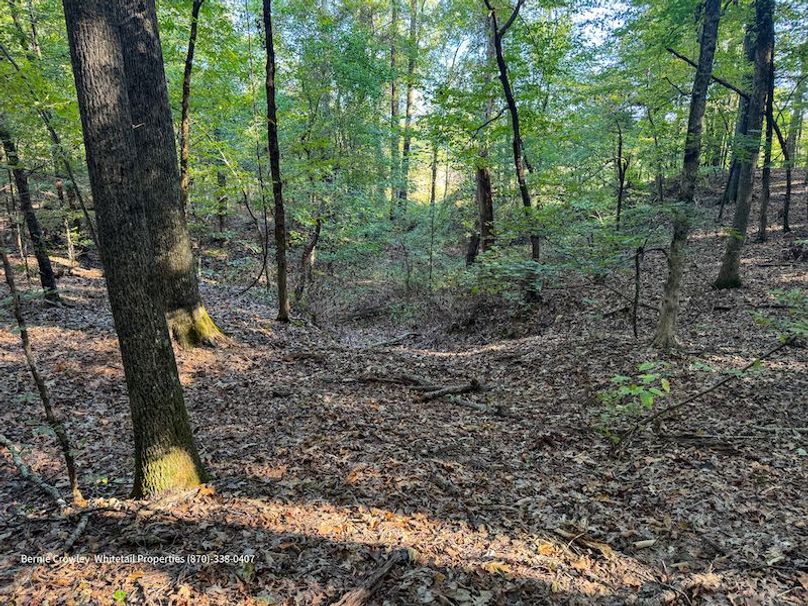 DeSoto 109 Prewett -35