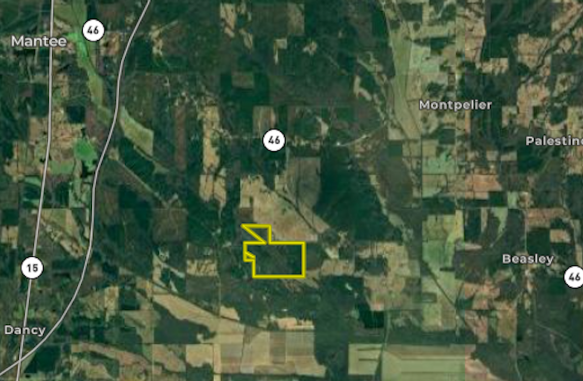 Screenshot 2025-09-17 at 12.09.24 PM