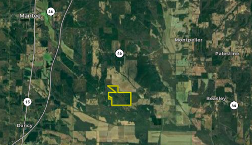 Screenshot 2025-09-17 at 12.09.24 PM