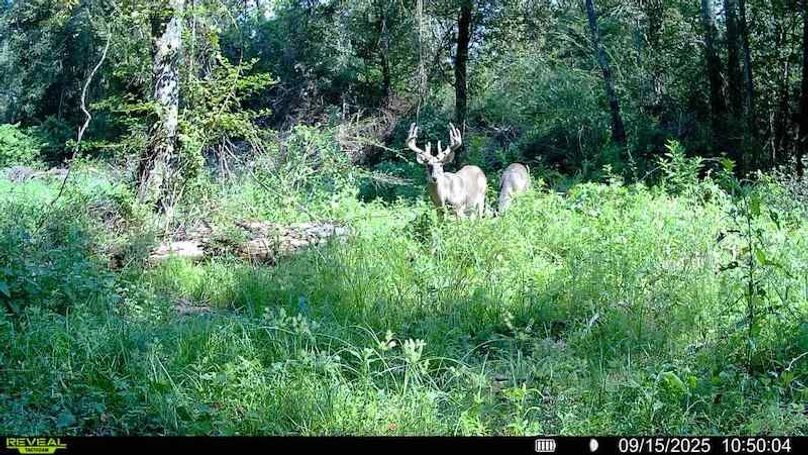 att.jOrRofpsYBeCFNIBjdHsO0TjfKCGJs4C1rHpl4Y0y7s