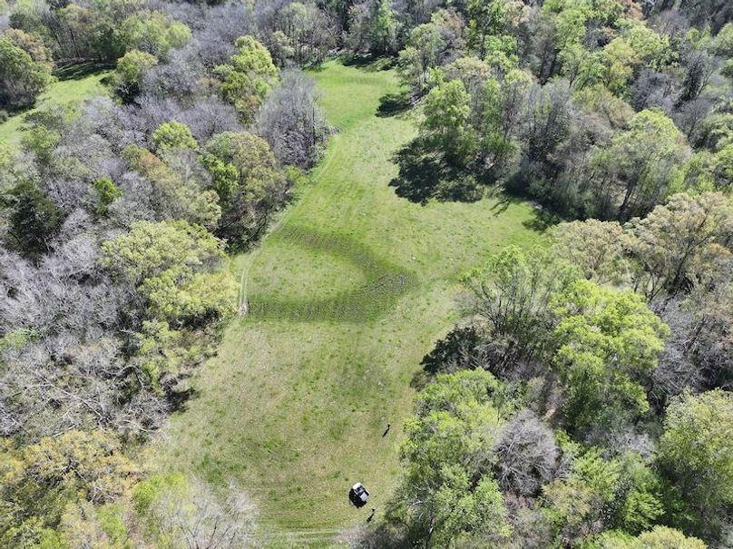 dji_fly_20260317_092142_0400_1773768877818_photo