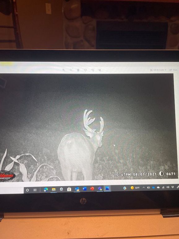 65042388505__32408C3E-C2CA-490C-BC19-DB1FA34F23B4