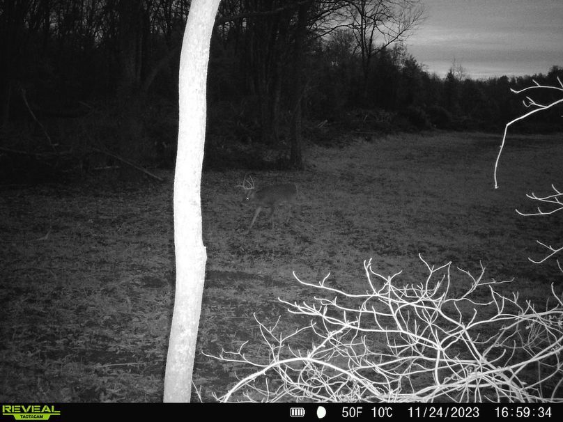 trail cam and harvest14