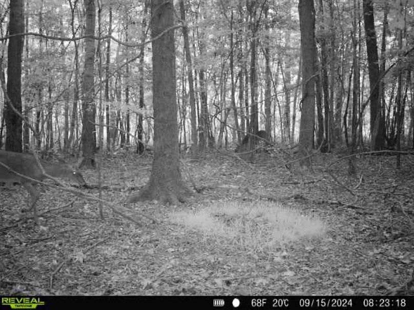 867490071149517-100-3-09152024082318-W1001005_8194725137236