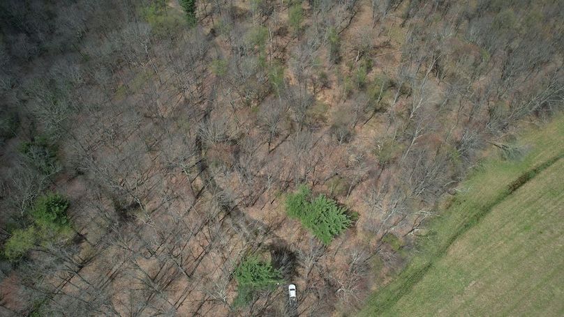 dji_fly_20260416_130138_245_1776359331660_photo