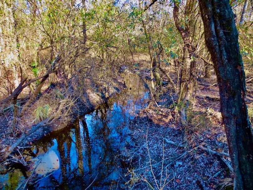 C69C5828-167B-4155-BFFE-F80599333092_1_105_c