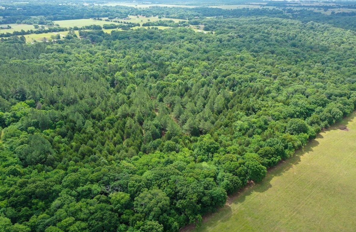 DJI_0324